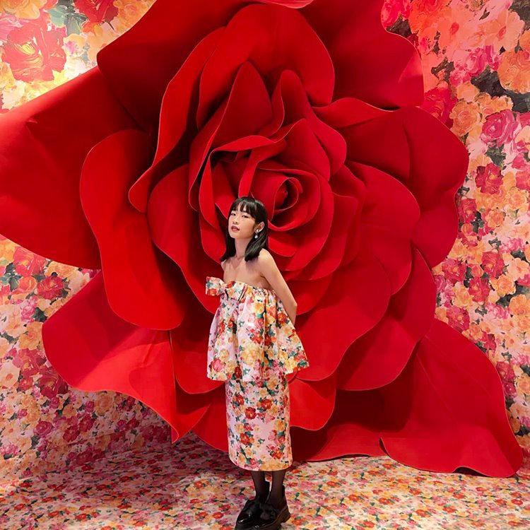 দৈত্য গোলাপ পটভূমি প্রপস