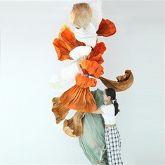 কমলা কাগজ শিল্প ইনস্টলেশন