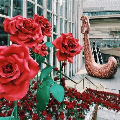 ভ্যালেন্টাইনের ডাইপেপার ফুল